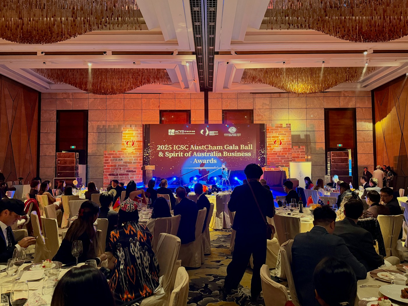 Guests seated at a formal gala dinner with a live performer on a professional stage